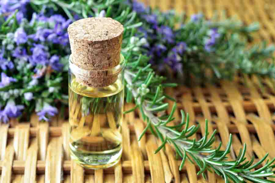 rosemary essential oil bottle 2