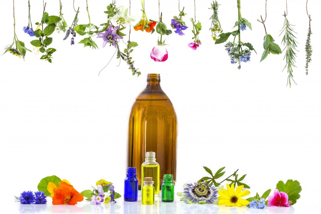 How To Choose The Best Carrier Oils For Your Essential Oil Blend? Essential Oil Benefits