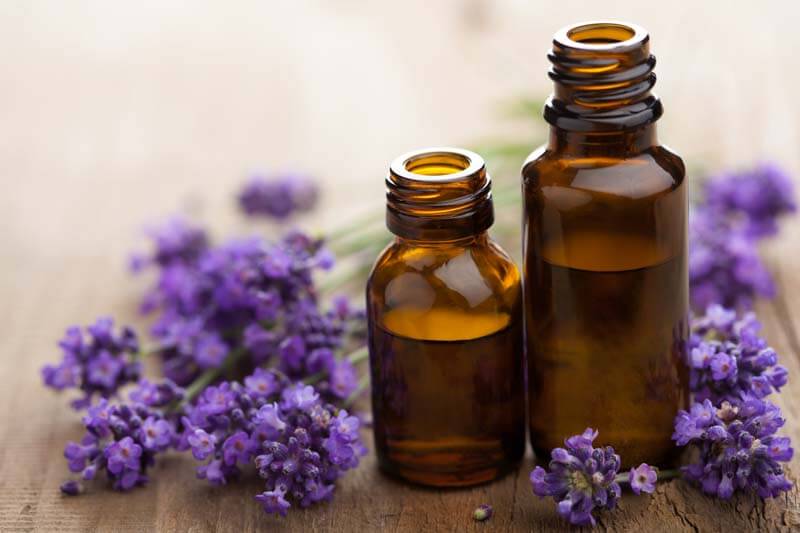 12 Wrinkle Free Restorative Essential Oils for Wrinkles and Aging Skin - Essential Oil's Tales