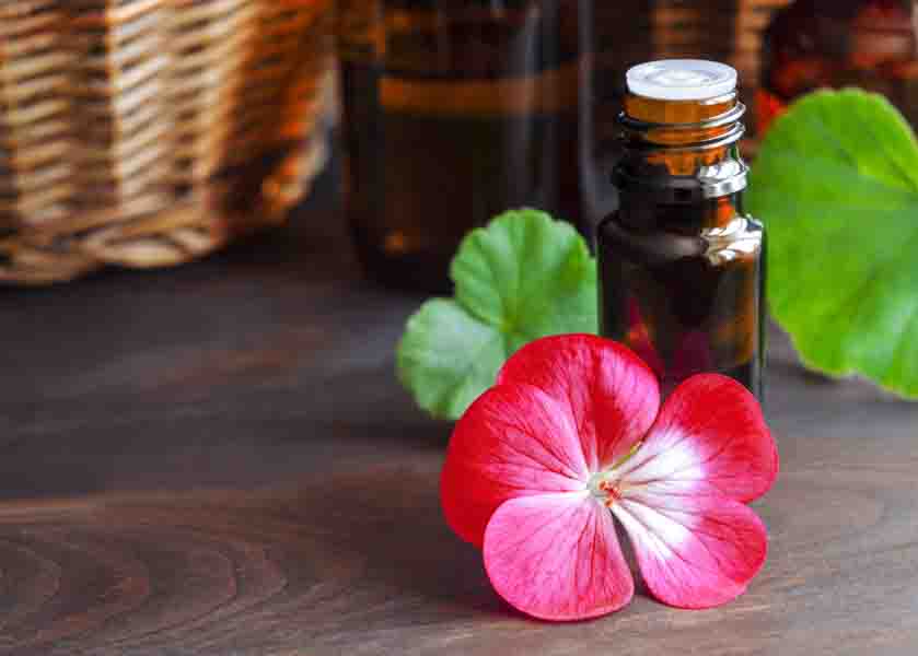 12 Wrinkle Free Restorative Essential Oils for Wrinkles and Aging Skin - Essential Oil's Tales