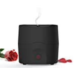 Pilgrim® Collection Alpha Ultrasonic Diffuser Humidifier - Essential Oil's Tales